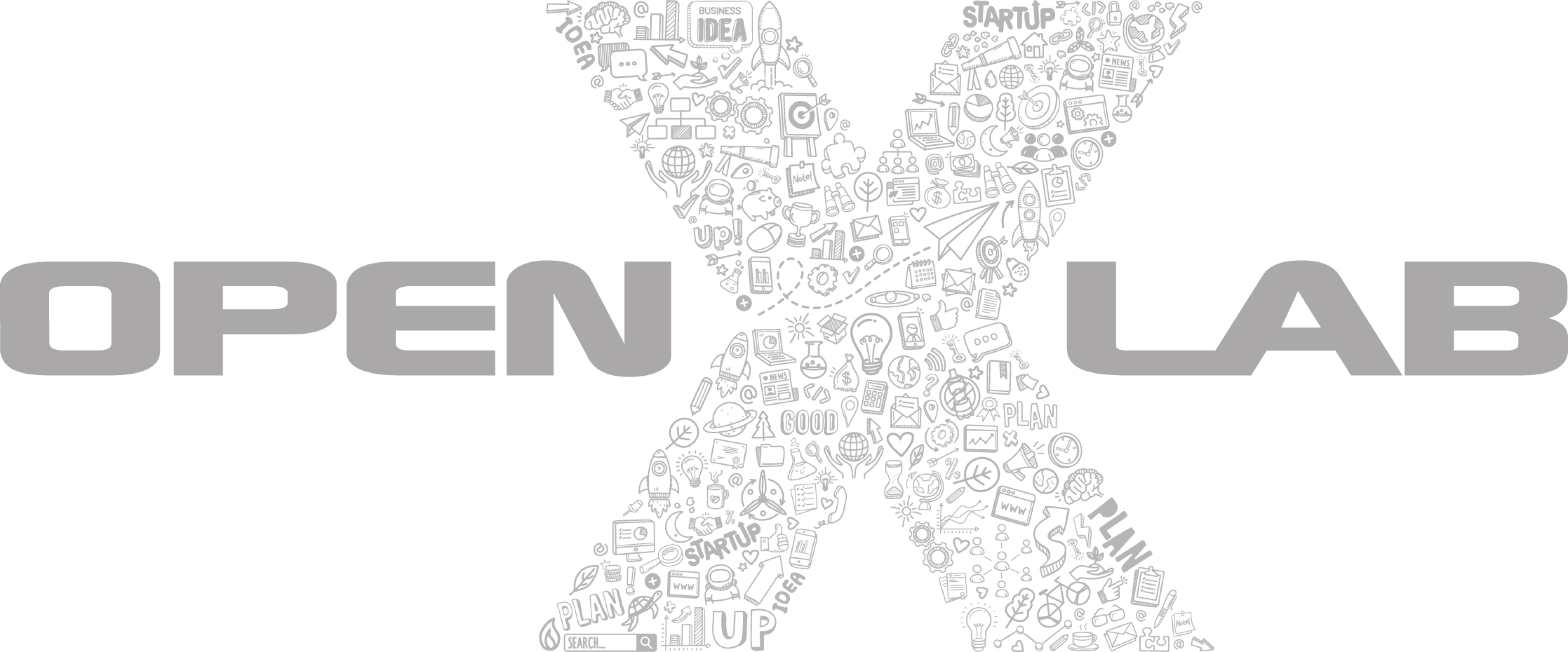 OpenX Lab